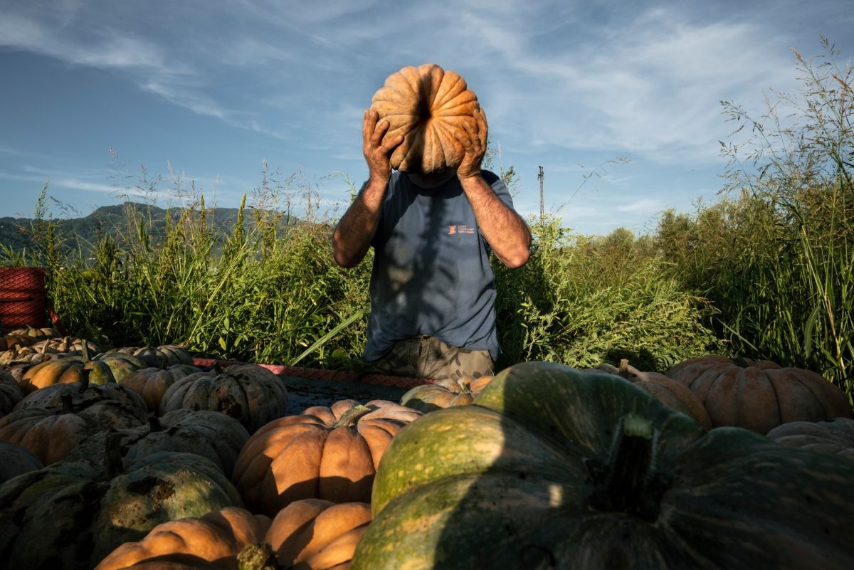 Agrosfera: oltre 18.000 fotografie raccontano l'anima dell'agroalimentare italiano