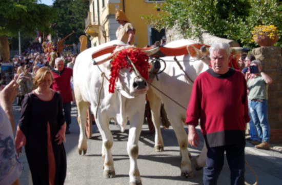Eventi, sagre, fiere, rievocazioni storiche, mercatini - Toscana Aprile 2019 Le principali manifestazioni feste tradizionali di primavera da noi segnalate.