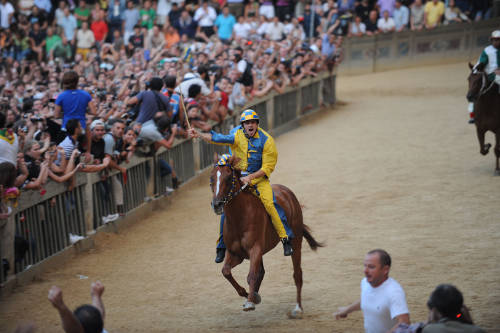 Palio di Siena 2 Luglio 2009 Vince la Tartuca