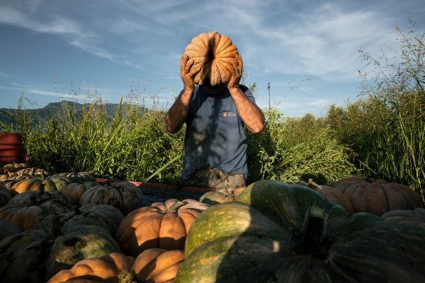Agrosfera: oltre 18.000 fotografie raccontano l'anima dell'agroalimentare italiano